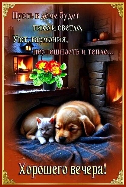 Уютная открытка с пожеланием хорошего вечера: спящие котенок и щенок, теплый свет камина, цветы и атмосфера домашнего спокойствия и гармонии. Открытка Хорошего вечера! Уютная и теплая открытка с пожеланием доброго вечера. На изображении запечатлена гармоничная домашняя атмосфера: спящий щенок и котенок на мягком пледе, свет из камина, цветущие красные цветы на подоконнике и вид на заснеженный вечерний пейзаж за окном Уютная открытка с пожеланием хорошего вечера: спящие котенок и щенок, теплый свет камина, цветы и атмосфера домашнего спокойствия и гармонии. Открытка Хорошего вечера! Уютная и теплая открытка с пожеланием доброго вечера. На изображении запечатлена гармоничная домашняя атмосфера: спящий щенок и котенок на мягком пледе, свет из камина, цветущие красные цветы на подоконнике и вид на заснеженный вечерний пейзаж за окном