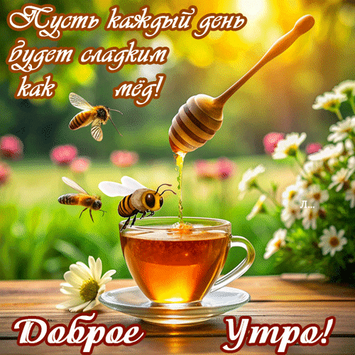 Доброе утро! Уютная картинка с чашкой чая, медом и пчелами в солнечном саду. Пожелание сладкого и прекрасного дня для ваших близких. Анимированная открытка Пусть каждый день будет сладким как мед! Доброе утро! Уютное и теплое изображение для доброго утра: чашка ароматного чая с медом на деревянном столе в окружении цветов. На фоне солнечного сада летают пчелы, а капля золотистого меда аппетитно стекает с медовой палочки в чашку. Картинка украшена надписью на русском языке: «Пусть каждый день будет сладким как мед! Доброе утро!» Доброе утро! Уютная картинка с чашкой чая, медом и пчелами в солнечном саду. Пожелание сладкого и прекрасного дня для ваших близких. Анимированная открытка Пусть каждый день будет сладким как мед! Доброе утро! Уютное и теплое изображение для доброго утра: чашка ароматного чая с медом на деревянном столе в окружении цветов. На фоне солнечного сада летают пчелы, а капля золотистого меда аппетитно стекает с медовой палочки в чашку. Картинка украшена надписью на русском языке: «Пусть каждый день будет сладким как мед! Доброе утро!»