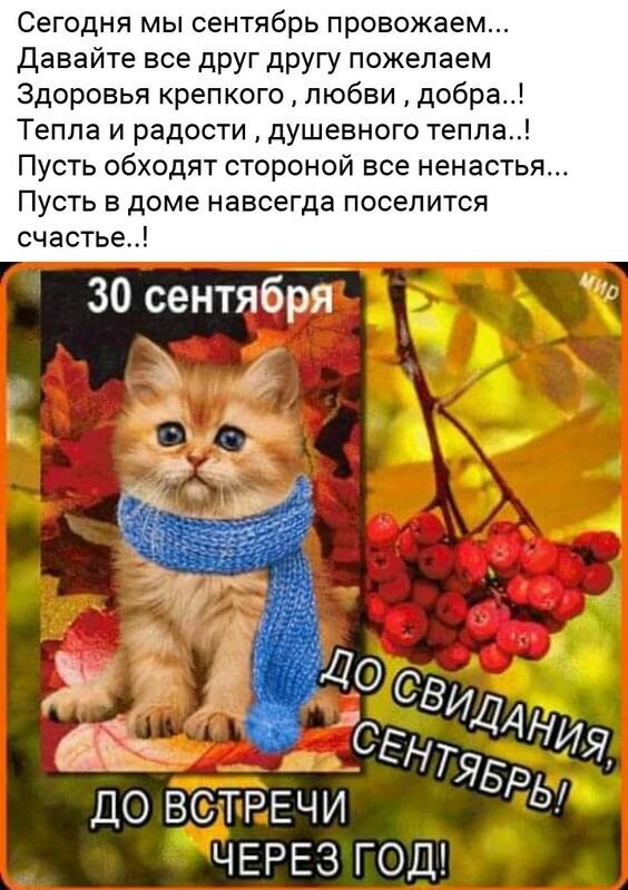 Осенняя открытка с милым котенком и пожеланиями на прощание с сентябрем. Уютное изображение с текстом о добре, любви и счастье для соцсетей. Открытка До свидания, сентябрь! До встречи! Уютная осенняя открытка с милым рыжим котенком в синем шарфе на фоне осенних листьев и ягод рябины. На изображении размещен душевный текст на русском языке, прощающийся с сентябрем. Пожелания здоровья, любви, добра и душевного тепла Осенняя открытка с милым котенком и пожеланиями на прощание с сентябрем. Уютное изображение с текстом о добре, любви и счастье для соцсетей. Открытка До свидания, сентябрь! До встречи! Уютная осенняя открытка с милым рыжим котенком в синем шарфе на фоне осенних листьев и ягод рябины. На изображении размещен душевный текст на русском языке, прощающийся с сентябрем. Пожелания здоровья, любви, добра и душевного тепла