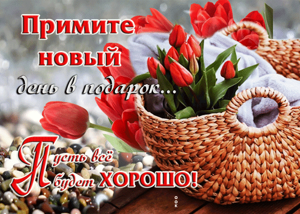 Поздравительная открытка с красными тюльпанами в корзине и надписью: Примите новый день в подарок... Пусть все будет хорошо!. Красивое пожелание доброго дня. Анимированная открытка Примите новый день в подарок… Пусть все будет Хорошо! Красивая поздравительная открытка с яркими красными тюльпанами в плетеной корзине на фоне гладких камней. На изображении наложен вдохновляющий текст на русском языке: 