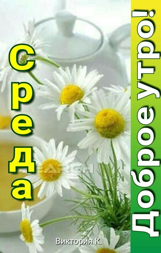 Доброе утро! Красивая картинка с белыми ромашками и надписью «Среда». Светлое и уютное поздравление для хорошего настроения в середине недели. Открытка Доброе утро Среды! Красочное поздравительное изображение с надписью «Среда» и «Доброе утро!». На картинке изображены нежные белые ромашки с ярко-желтыми сердцевинами на фоне белого чайника, создавая атмосферу уютного и светлого утра. Идеально подходит для отправки друзьям и близким в мессенджерах или социальных сетях для поднятия настроения в середине недели