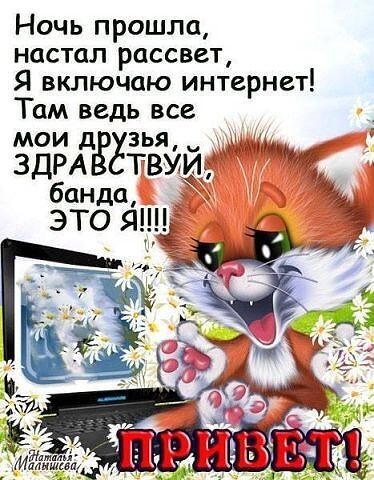 Веселая открытка с рыжим котом и текстом «Привет!». Позитивное утреннее приветствие для друзей в соцсетях и мессенджерах. Доброе утро и интернет! Открытка Ночь прошла, настал рассвет, Я включаю интернет! Там ведь Забавная и позитивная открытка с рыжим мультяшным котом, который радостно приветствует друзей перед компьютером. На картинке изображен милый кот с широко открытыми глазами, сидящий рядом с ноутбуком, среди белых цветов. На изображении расположен текст на русском языке: «Ночь прошла, настал рассвет, я включаю интернет! Там ведь все мои друзья, здравствуй, банда, это я!!!!» и крупная надпись «ПРИВЕТ!» внизу