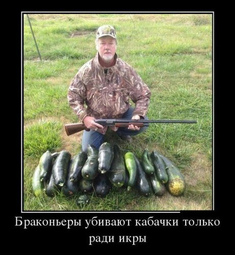 Смешной мем про «браконьеров», которые охотятся на кабачки ради икры. Юмористическая картинка с охотником и урожаем кабачков. Открытка Ради икры Смешной юмористический мем с изображением охотника в камуфляже, который сидит на траве с ружьем и большой кучей собранных кабачков перед собой. На картинке расположен ироничный текст на русском языке: «Браконьеры убивают кабачки только ради икры». Мем обыгрывает игру слов между «икрой» (рыбной) и «икрой» (семенами кабачков), создавая комический эффект
