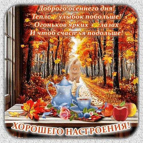 Уютная осенняя открытка с пожеланиями доброго дня, рыжим котом, чаем и осенними листьями. Красивое изображение для хорошего настроения! Анимированная открытка Хорошего настроения! Красочная осенняя открытка с пожеланиями доброго дня и хорошего настроения. На изображении представлен уютный осенний пейзаж с золотыми деревьями, милым рыжим котом, идущим по тропинке, и натюрмортом на переднем плане: синим чайником, чашкой чая, спелыми яблоками и яркими кленовыми листьями. Теплые осенние тона и душевные надписи на русском языке создают атмосферу уюта и радости