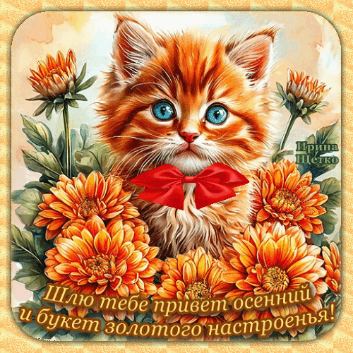 Милый рыжий котенок с красным бантом и букетом осенних цветов. Открытка с пожеланием золотого осеннего настроения. Идеально для поздравлений! Анимированная открытка Привет осенний Милая открытка с рыжим пушистым котенком с голубыми глазами, украшенным красным бантом. Котенок окружен яркими осенними хризантемами оранжевого цвета. На картинке расположена поздравительная надпись на русском языке: Шлю тебе привет осенний и букет золотого настроенья! Милый рыжий котенок с красным бантом и букетом осенних цветов. Открытка с пожеланием золотого осеннего настроения. Идеально для поздравлений! Анимированная открытка Привет осенний Милая открытка с рыжим пушистым котенком с голубыми глазами, украшенным красным бантом. Котенок окружен яркими осенними хризантемами оранжевого цвета. На картинке расположена поздравительная надпись на русском языке: Шлю тебе привет осенний и букет золотого настроенья!