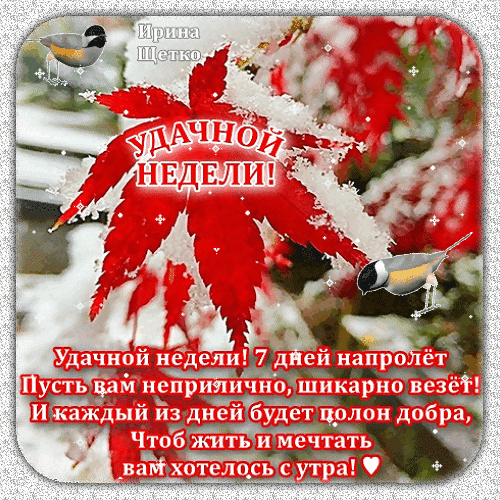 Красивая открытка с пожеланием удачной недели: красный кленовый лист, снег, птицы и добрые стихи для отличного настроения в каждый из 7 дней! Анимированная открытка Удачной недели! Красивая поздравительная открытка с пожеланием удачной недели. На изображении изображен яркий красный кленовый лист на фоне зимнего пейзажа со снегом. Композицию дополняют две милые птички и сверкающие искры. В центре расположена надпись «Удачной недели!», а внизу — трогательное стихотворение о добре, удаче и мечтах