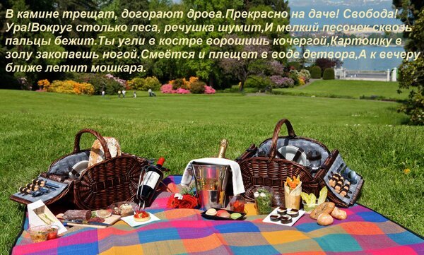 Атмосферный пикник на траве: корзины с едой, вино, закуски и фрукты на клетчатом пледе. Идеальный летний отдых на природе, даче или в парке. Открытка В камине трещат, догорают дрова. Прекрасно на даче! Свобода! Ура! Вокруг столько леса, речушка шумит Уютный пикник на природе под открытым небом. На ярком клетчатом пледе разложены деликатесы: сыры, закуски, свежий хлеб, вино в ведерке со льдом и фрукты. На фоне — сочная зеленая трава и залитый солнцем сад, создающие атмосферу беззаботного отдыха на даче или в парке