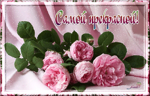 Красивая открытка с розовыми розами и надписью «Самой прекрасной!». Нежный букет цветов для поздравления любимой женщины, мамы или подруги. Анимированная открытка Самой прекрасной! Красивая поздравительная открытка с нежными розовыми розами. На изображении представлен пышный букет розовых бутонов на фоне изящной шелковой ткани пастельных тонов. Сверху нанесена красивая надпись на русском языке: 