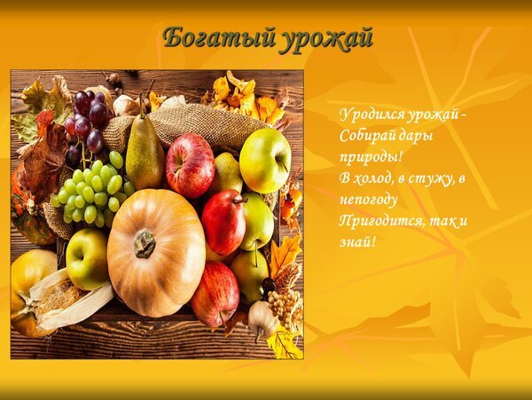 Осенний натюрморт с богатым урожаем: яблоки, груши, виноград и тыква на деревянном фоне. Теплая композиция с мотивирующей надписью об осени. Открытка Богатый урожай Красочное осеннее изображение с богатым урожаем: сочные яблоки, груши, виноград, тыква и другие сезонные фрукты на деревянном фоне. На картинке представлена яркая натюрмортная композиция в теплых золотистых тонах, сопровождаемая вдохновляющим текстом на русском языке: «Богатый урожай. Уродился урожай — собирай дары природы! В холод, в стужу, в непогоду пригодится, так и знай!» Осенний натюрморт с богатым урожаем: яблоки, груши, виноград и тыква на деревянном фоне. Теплая композиция с мотивирующей надписью об осени. Открытка Богатый урожай Красочное осеннее изображение с богатым урожаем: сочные яблоки, груши, виноград, тыква и другие сезонные фрукты на деревянном фоне. На картинке представлена яркая натюрмортная композиция в теплых золотистых тонах, сопровождаемая вдохновляющим текстом на русском языке: «Богатый урожай. Уродился урожай — собирай дары природы! В холод, в стужу, в непогоду пригодится, так и знай!»