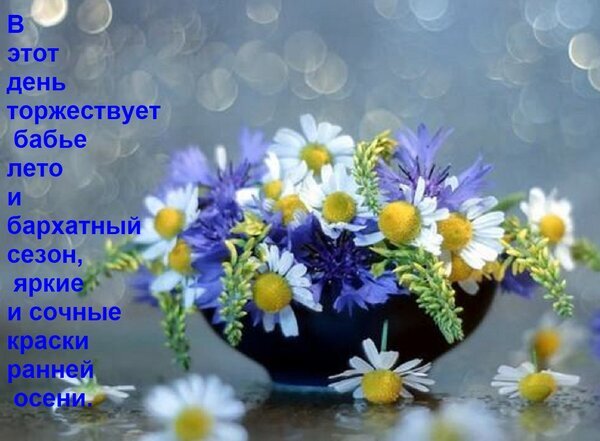 Букет полевых ромашек и фиолетовых цветов в вазе. Символ бабьего лета и ранней осени. Красивое осеннее настроение и яркие природные краски. Открытка В этот день торжествует бабье лето и бархатный сезон, яркие и сочные краски ранней осени. Красивый букет из полевых цветов: белых ромашек и фиолетовых астр в темной вазе на размытом светлом фоне. Изображение пропитано атмосферой «бабьего лета» и ранней осени, передавая нежность и яркость осенней природы Букет полевых ромашек и фиолетовых цветов в вазе. Символ бабьего лета и ранней осени. Красивое осеннее настроение и яркие природные краски. Открытка В этот день торжествует бабье лето и бархатный сезон, яркие и сочные краски ранней осени. Красивый букет из полевых цветов: белых ромашек и фиолетовых астр в темной вазе на размытом светлом фоне. Изображение пропитано атмосферой «бабьего лета» и ранней осени, передавая нежность и яркость осенней природы