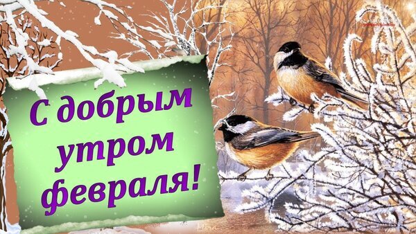 Зимняя открытка «С добрым утром февраля!» с милыми птичками на заснеженных ветках. Красивое пожелание доброго утра для соцсетей и мессенджеров. Открытка Доброе февральское утро! Красивая зимняя открытка с надписью «С добрым утром февраля!» на фоне заснеженного леса. На изображении представлены две милые птички, сидящие на покрытых инеем ветках деревьев. Теплая цветовая гамма птиц контрастирует с холодным зимним пейзажем, создавая уютное и праздничное настроение