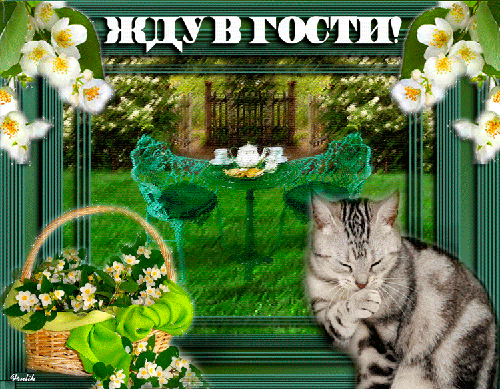 Пригласительная открытка «Жду в гости!» с милой кошкой, чаепитием на природе и весенними цветами. Теплое и уютное поздравление для друзей и близких. Анимированная открытка ЖДУ В ГОСТИ! Уютная и теплая поздравительная открытка с надписью «Жду в гости!». На изображении представлена живописная сцена: на зеленой поляне под сенью деревьев накрыт стол, украшенный цветами и чайным сервизом. На переднем плане — милая полосатая кошка, которая умывается, и плетеная корзина с нежными белыми цветами. Композиция дополнена изящными цветочными гирляндами, создавая атмосферу гостеприимства, весеннего тепла и домашнего уюта Пригласительная открытка «Жду в гости!» с милой кошкой, чаепитием на природе и весенними цветами. Теплое и уютное поздравление для друзей и близких. Анимированная открытка ЖДУ В ГОСТИ! Уютная и теплая поздравительная открытка с надписью «Жду в гости!». На изображении представлена живописная сцена: на зеленой поляне под сенью деревьев накрыт стол, украшенный цветами и чайным сервизом. На переднем плане — милая полосатая кошка, которая умывается, и плетеная корзина с нежными белыми цветами. Композиция дополнена изящными цветочными гирляндами, создавая атмосферу гостеприимства, весеннего тепла и домашнего уюта