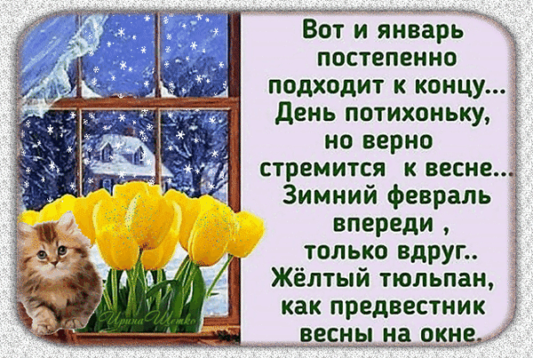 Уютная открытка: рыжий котенок, желтые тюльпаны на подоконнике и зимний пейзаж с душевным стихом о приближении весны и окончании января. Анимированная открытка Вот и январь постепенно подходит к концу... Красивая поздравительная открытка с зимним пейзажем за окном, пушистым рыжим котенком и ярким букетом желтых тюльпанов. На картинке размещен поэтичный текст о завершении января и ожидании весны. Изображение передает атмосферу зимнего уюта, предвкушения тепла и смены сезонов Уютная открытка: рыжий котенок, желтые тюльпаны на подоконнике и зимний пейзаж с душевным стихом о приближении весны и окончании января. Анимированная открытка Вот и январь постепенно подходит к концу... Красивая поздравительная открытка с зимним пейзажем за окном, пушистым рыжим котенком и ярким букетом желтых тюльпанов. На картинке размещен поэтичный текст о завершении января и ожидании весны. Изображение передает атмосферу зимнего уюта, предвкушения тепла и смены сезонов