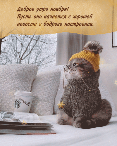 Милая открытка Доброе утро ноября с котом в свитере и очках. Уютное осеннее пожелание хорошего настроения и добрых новостей для соцсетей. Анимированная открытка Доброе утро ноября Уютная и милая картинка для пожелания доброго утра в ноябре. На изображении очаровательный пушистый кот в стильных очках, желтой шапочке и сером свитере сидит на диване рядом с чашкой кофе и журналом. Фон с видом на осенние деревья создает атмосферу тепла и домашнего уюта