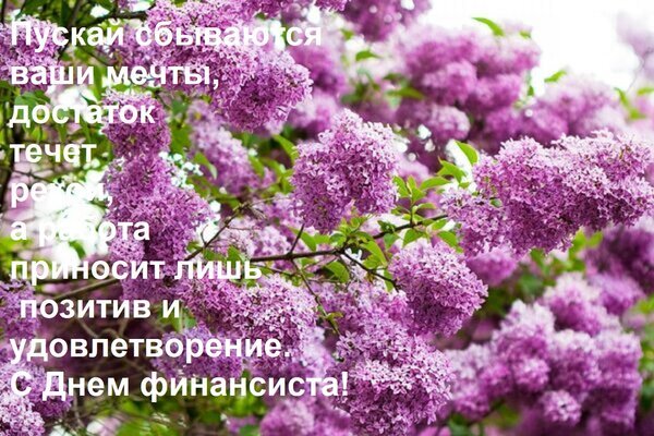 Поздравление с Днем финансиста на фоне цветущей сирени: пожелания исполнения мечты, достатка и позитивной работы. Красивая открытка для коллег и друзей. Открытка Пускай сбываются ваши мечты, достаток течет рекой, а работа приносит лишь позитив и удовлетворение. Красивое поздравительное изображение с ветками цветущей сирени нежно-фиолетового цвета. На картинке наложен текст на русском языке с теплыми пожеланиями: «Пускай сбываются ваши мечты, достаток течет рекой, а работа приносит лишь позитив и удовлетворение... С Днем финансиста!»
