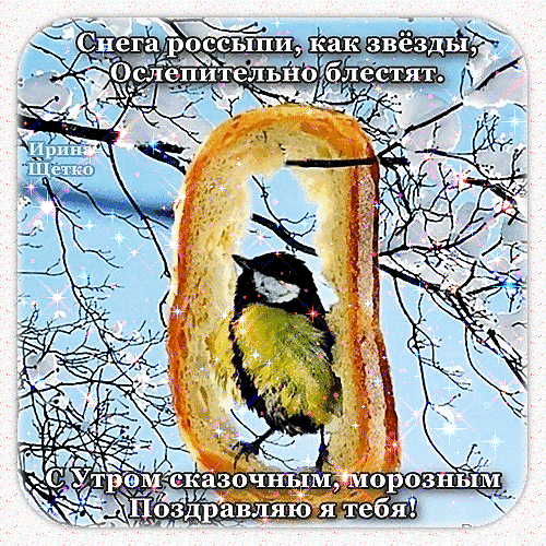 Зимняя открытка с птичкой и мерцающим снегом. Текст: «Снега россыпь, как звезды... С утром сказочным, морозным поздравляю я тебя!». Красивое поздравление с зимой. Анимированная открытка Доброе утро! Открытка с зимним настроением и мерцающим снегом. На изображении изображена маленькая птичка, уютно устроившаяся внутри ледяной или заснеженной арки. Фон украшен тонкими ветвями деревьев и сияющими звездами. Текст на русском языке гласит: «Снега россыпь, как звезды, ослепительно блестят. С утром сказочным, морозным поздравляю я тебя!» Зимняя открытка с птичкой и мерцающим снегом. Текст: «Снега россыпь, как звезды... С утром сказочным, морозным поздравляю я тебя!». Красивое поздравление с зимой. Анимированная открытка Доброе утро! Открытка с зимним настроением и мерцающим снегом. На изображении изображена маленькая птичка, уютно устроившаяся внутри ледяной или заснеженной арки. Фон украшен тонкими ветвями деревьев и сияющими звездами. Текст на русском языке гласит: «Снега россыпь, как звезды, ослепительно блестят. С утром сказочным, морозным поздравляю я тебя!»