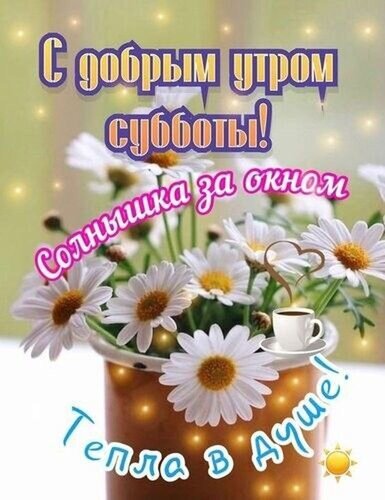 Открытка «С добрым утром субботы!»: букет белых ромашек, чашка кофе и солнечный свет. Пожелание тепла в душе и отличного настроения для выходного дня. Открытка С добрым утром субботы! Красивая открытка с пожеланием доброго утра субботы. На изображении нежный букет белоснежных ромашек в вазе, дополненный чашкой ароматного кофе. На фоне мягкое солнечное сияние и теплые блики, создающие уютную атмосферу. Текст на картинке гласит: «С добрым утром субботы! Солнышко за окном, тепла в душе!»