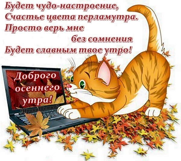Милая открытка с рыжим котенком и осенними листьями. Пожелание доброго осеннего утра и чудесного настроения в стихах. Идеально для мессенджеров и соцсетей. Открытка Доброе утро Красочная открытка с милым рыжим котенком, который уютно устроился на осенних листьях рядом с ноутбуком. На изображении расположен вдохновляющий стих на русском языке: Будет чудо-настроение, Счастье цвета перламутра. Просто верь мне без сомнения Будет славным твое утро!. В нижней части надпись: Доброго осеннего утра! Милая открытка с рыжим котенком и осенними листьями. Пожелание доброго осеннего утра и чудесного настроения в стихах. Идеально для мессенджеров и соцсетей. Открытка Доброе утро Красочная открытка с милым рыжим котенком, который уютно устроился на осенних листьях рядом с ноутбуком. На изображении расположен вдохновляющий стих на русском языке: Будет чудо-настроение, Счастье цвета перламутра. Просто верь мне без сомнения Будет славным твое утро!. В нижней части надпись: Доброго осеннего утра!