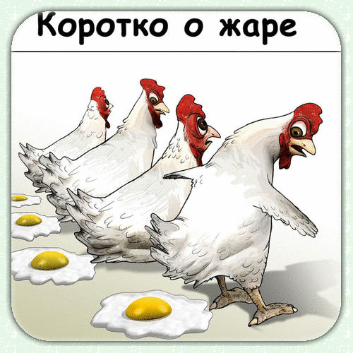 Смешная иллюстрация: куры с удивленными лицами смотрят на яичницу. Надпись «Коротко о жаре». Идеальный мем про экстремальную летнюю жару. Анимированная открытка Коротко о жаре Забавный и ироничный рисунок, изображающий группу белых кур, которые в ужасе или недоумении смотрят на поджаренные яичницы перед ними. Надпись на русском языке «Коротко о жаре» добавляет юмористический контекст, обыгрывая тему погоды или высокой температуры
