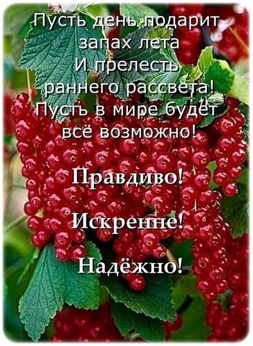 Красивая открытка с красной смородиной и добрым пожеланием на русском языке. Летнее настроение, вдохновляющие слова о радости и надежде. Открытка Пусть день подарит запах лета... Красочное поздравительное изображение с сочной гроздью спелой красной смородины на фоне зеленых листьев. На картинке наложен вдохновляющий текст на русском языке: 