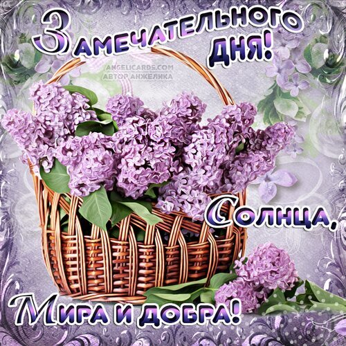 Поздравительная открытка с букетом сирени в корзине и пожеланием «Замечательного дня! Солнца, мига и добра!». Красивое весеннее изображение для соцсетей. Открытка Добрый день! Красивая поздравительная открытка с пышным букетом фиолетовой сирени в плетеной корзинке. На изображении наложен праздничный текст на русском языке: «Замечательного дня! Солнца, мига и добра!» Поздравительная открытка с букетом сирени в корзине и пожеланием «Замечательного дня! Солнца, мига и добра!». Красивое весеннее изображение для соцсетей. Открытка Добрый день! Красивая поздравительная открытка с пышным букетом фиолетовой сирени в плетеной корзинке. На изображении наложен праздничный текст на русском языке: «Замечательного дня! Солнца, мига и добра!»