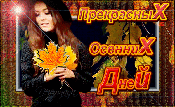 Красивая осенняя открытка с надписью «Прекрасных осенних дней». Девушка с золотыми кленовыми листьями в руках. Уютная атмосфера золотой осени. Анимированная открытка Прекрасных осенних дней! Эстетичное осеннее изображение с надписью «Прекрасных осенних дней». На картинке молодая девушка в уютной темной одежде держит в руках яркие золотистые кленовые листья. Атмосферный коллаж с эффектом мягкого света, осенней листвой на фоне и теплыми цветами, идеально передающий настроение уюта, романтики и золотой осени