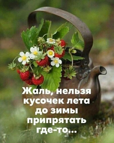 Уютный натюрморт со спелой земляникой в старинном чайнике и трогательной цитатой о том, как хочется сохранить кусочек лета до самой зимы. Открытка Жаль, нельзя кусочек лета до зимы припрятать где-то... Атмосферное и уютное изображение, на котором запечатлен натюрморт из старинного медного чайника, украшенного спелой земляникой и нежными белыми цветами. На картинке присутствует меланхоличная цитата на русском языке: 