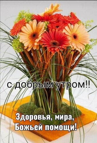 Открытка С добрым утром: яркий букет гербер с пожеланиями здоровья, мира и Божьей помощи. Красивое доброе утро для близких и друзей! Открытка С добрым утром!! Здоровья, мира, Божьей помощи! Красивая поздравительная открытка с ярким букетом гербер оранжевого и розового цветов в вазе. На изображении наложен текст на русском языке: 
