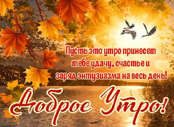 Осенняя открытка «Доброе утро!» с кленовыми листьями, птицами и пожеланием удачи, счастья и энтузиазма на весь день. Красивое вдохновляющее изображение. Анимированная открытка Доброе утро! Красивая осенняя открытка с пожеланием доброго утра. На фоне золотистой осени, ярких кленовых листьев и заходящего (или восходящего) солнца над водой летят птицы