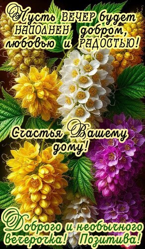 Красивая открытка с пожеланием доброго вечера, счастья дому и позитива. Яркие цветы и вдохновляющие надписи для ваших близких. Открытка Добрый вечер Красивая открытка с яркими цветами для пожелания доброго вечера. На изображении изображены пышные соцветия желтых, белых и фиолетовых цветов на фоне зеленой листвы. На картинке размещены вдохновляющие надписи на русском языке: «Пусть ВЕЧЕР будет наполнен добром, любовью и радостью!», «Счастья Вашему дому!» и «Доброго и необычного Вечерка! Позитива!»