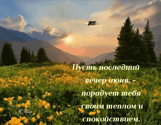 Красивый летний пейзаж: закат в горах, цветущий луг и вдохновляющая цитата о тепле и спокойствии последнего вечера июня. Эстетика летнего отдыха. Анимированная открытка Пусть последний вечер июня,- порадует тебя своим теплом и спокойствием. Живописный пейзаж летнего вечера с цветущим лугом под золотистым закатным небом. На переднем плане — яркие желтые полевые цветы, на заднем — величественные горы и хвойный лес в дымке. На изображении размещена красивая цитата на русском языке о тепле и спокойствии последнего вечера июня, создающая атмосферу умиротворения и летнего уюта