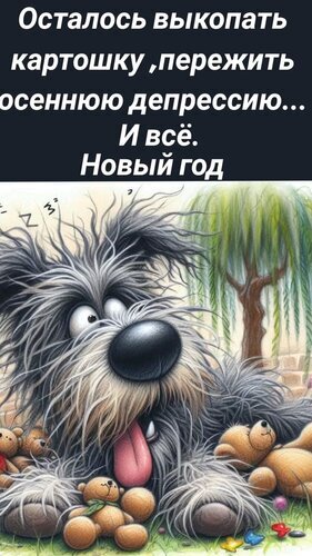 Юмористический мем с забавной собакой о том, как пережить осень, выкопать картошку и дожить до Нового года. Смешная картинка про дачный сезон и депрессию. Открытка Осталось выкопать картошку Смешная юмористическая картинка с изображением взъерошенной, забавной собаки, лежащей среди игрушечных мишек. На изображении расположен ироничный текст на русском языке о жизненном цикле: необходимости выкопать картошку, пережить осеннюю депрессию и дождаться Нового года. Идеально подходит для публикации в социальных сетях (VK, OK, Instagram) в качестве жизненного мема, шутки про осень, дачный сезон и ожидание праздников