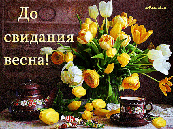 Уютный натюрморт с букетом тюльпанов, чаем и конфетами. На картинке надпись: «До свидания весна!». Красивая весенняя открытка для настроения. Анимированная открытка До свидания весна! Красочный натюрморт с пышным букетом желтых и белых тюльпанов, стоящим в вазе на столе. Рядом расположены изящная темная чайная пара с цветочным узором, уютный чайник и несколько конфет в ярких обертках. На фоне видна теплая домашняя обстановка. На изображении нанесена надпись на русском языке: 