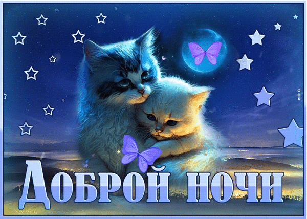 Милая открытка «Доброй ночи» с двумя пушистыми котятами, луной, звездами и бабочками. Волшебная ночная картинка для добрых пожеланий спокойной ночи. Анимированная открытка Классного денечка Красивая и милая открытка с изображением двух пушистых котят на фоне ночного неба. Маленькие котята уютно прижимаются друг к другу под сиянием полной луны и звезд. Вокруг летают нежные фиолетовые бабочки, создавая волшебную и спокойную атмосферу. В нижней части изображения крупная надпись на русском языке «ДОБРОЙ НОЧИ», выполненная в стильном голубом цвете с градиентом