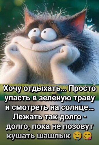 Смешной мем с котом о желании отдыхать на траве под солнцем и ждать, когда позовут есть шашлык. Юмористическая картинка про отдых и вкусную еду. Открытка Хочу отдыхать Забавный мем с мультяшным пушистым котом, который мечтательно подпирает лапами подбородок. На картинке расположен текст на русском языке: 