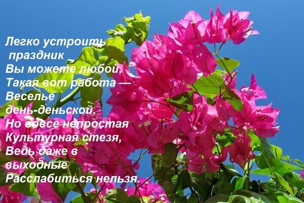 Яркие розовые цветы бугенвиллеи на фоне голубого неба с мотивирующим текстом о празднике, отдыхе и культурном развитии. Летнее и позитивное изображение. Открытка Легко устроить праздник Вы можете любой. Такая вот работа — Веселье день-деньской. Но вовсе непроста Красочное изображение ярко-розовых цветков бугенвиллеи на фоне чистого голубого неба. На картинке наложен текст на русском языке, посвященный теме отдыха, праздника и важности культурного досуга. Яркие летние тона и тропическая растительность создают позитивное, вдохновляющее настроение