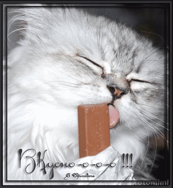 Забавное фото пушистого серого кота, который с удовольствием лижет шоколадку. Надпись «Вкусно-о-о-о!!!» добавляет милоты и юмора. Идеальный мем! Анимированная открытка Вкусно шоколад это счастье Милое и забавное изображение пушистого серого кота, который с удовольствием лижет шоколадный батончик. На картинке видна текстура мягкой шерсти и выразительная мимика довольного питомца. В нижней части изображения расположена стильная надпись на кириллице «Вкусно-о-о-о!!!», добавляющая эмоциональный акцент