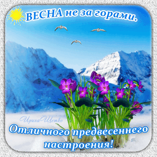 Весенняя открытка с цветами, горами и птицами. Надпись: «ВЕСНА не за горами. Отличного предвесеннего настроения!» — пожелание радости и тепла. Анимированная открытка Весна не за горами. Отличного предвесеннего настроения! Красочная поздравительная открытка, символизирующая приход весны. На изображении запечатлен яркий весенний пейзаж с заснеженными горами на фоне чистого голубого неба, по которому летят птицы. На переднем плане среди весенней зелени и остатков снега распускаются яркие фиолетовые цветы. На картинке присутствует вдохновляющая надпись на русском языке: «ВЕСНА не за горами. Отличного предвесеннего настроения!»