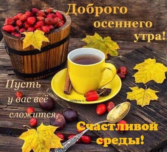 Уютная осенняя открытка: чашка чая, ягоды шиповника и кленовые листья. Пожелание доброго осеннего утра и счастливой среды на деревянном фоне. Открытка Доброго осеннего утра! Счастливой среды! Уютное осеннее изображение, создающее атмосферу тепла и спокойствия. На деревянном фоне стоит чашка горячего чая в желтой кружке на блюдце, рядом — палочка корицы и спелые ягоды шиповника. Композицию дополняют яркие желтые кленовые листья и деревянная корзинка с ягодами. На картинке нанесен поздравительный текст на русском языке: «Доброго осеннего утра! Пусть у вас все сложится Уютная осенняя открытка: чашка чая, ягоды шиповника и кленовые листья. Пожелание доброго осеннего утра и счастливой среды на деревянном фоне. Открытка Доброго осеннего утра! Счастливой среды! Уютное осеннее изображение, создающее атмосферу тепла и спокойствия. На деревянном фоне стоит чашка горячего чая в желтой кружке на блюдце, рядом — палочка корицы и спелые ягоды шиповника. Композицию дополняют яркие желтые кленовые листья и деревянная корзинка с ягодами. На картинке нанесен поздравительный текст на русском языке: «Доброго осеннего утра! Пусть у вас все сложится