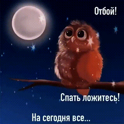Забавная открытка с совой под луной: «Отбой! Спать ложитесь! На сегодня все...». Идеальное пожелание спокойной ночи и завершения дня. Анимированная открытка Отбой! Спать ложитесь! На сегодня все… Милая и забавная открытка с изображением пушистой совы, сидящей на ветке под сияющей полной луной в ночном небе. Картинка наполнена уютной ночной атмосферой и звездным светом