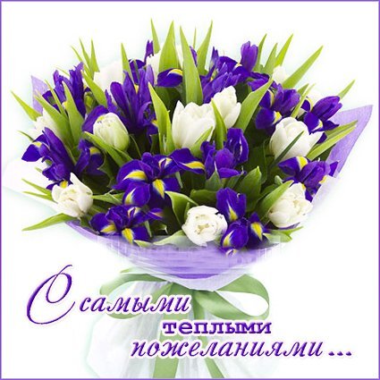 Букет фиолетовых ирисов и белых тюльпанов с надписью С самыми теплыми пожеланиями.... Красивое цветочное поздравление для открытки или сообщения. Открытка С самыми теплыми пожеланиями Красивый и нежный букет из фиолетовых ирисов и белых тюльпанов, перевязанный легкой лентой. Изображение дополнено вдохновляющей надписью на русском языке: С самыми теплыми пожеланиями.... Идеальное флористическое поздравление для открытки, пожелания хорошего дня, праздничного сообщения или эмоционального поста в социальных сетях Букет фиолетовых ирисов и белых тюльпанов с надписью С самыми теплыми пожеланиями.... Красивое цветочное поздравление для открытки или сообщения. Открытка С самыми теплыми пожеланиями Красивый и нежный букет из фиолетовых ирисов и белых тюльпанов, перевязанный легкой лентой. Изображение дополнено вдохновляющей надписью на русском языке: С самыми теплыми пожеланиями.... Идеальное флористическое поздравление для открытки, пожелания хорошего дня, праздничного сообщения или эмоционального поста в социальных сетях
