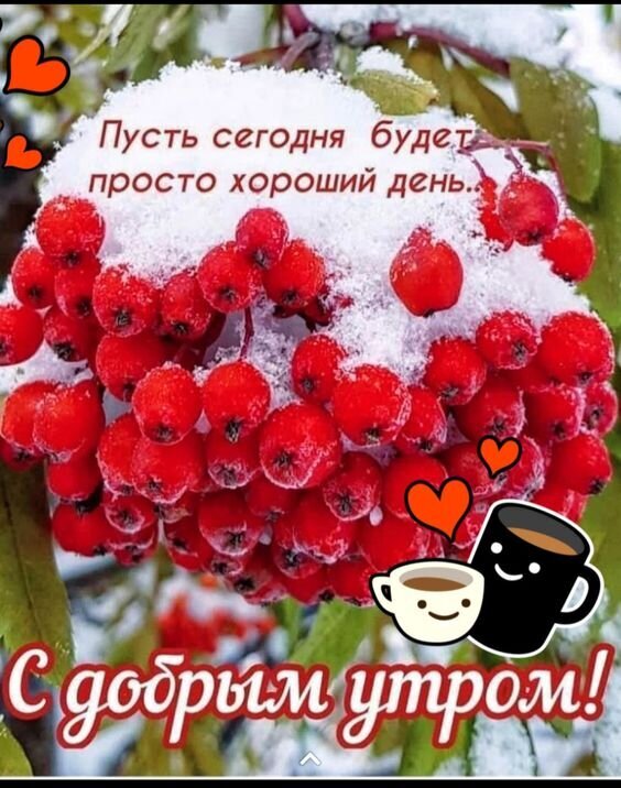 Красивая зимняя открытка «С добрым утром!» с красной рябиной в снегу, чашкой кофе и пожеланием хорошего дня. Идеально для соцсетей и мессенджеров. Открытка Пусть сегодня будет просто хороший день... С добрым утром! Уютная и теплая открытка для доброго утра. На изображении запечатлена гроздь ярко-красных ягод рябины, припорошенная пушистым белым снегом. Фон дополнен мягким светом и милыми элементами: маленькими красными сердечками и чашкой горячего кофе с пенкой. На картинке нанесен вдохновляющий текст на русском языке: «Пусть сегодня будет просто хороший день... С добрым утром!»