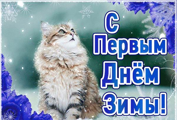 Поздравление с первым днем зимы: милый пушистый кот на фоне снежинок и зимних цветов. Красивая открытка для соцсетей и мессенджеров. Анимированная открытка C первым днем зимы! Красивая поздравительная открытка с пушистым рыже-полосатым котом на зимнем фоне. На изображении крупный текст на русском языке: «С Первым Днем Зимы!». Декор включает снежинки, эффект падающего снега и синие зимние цветы по краям