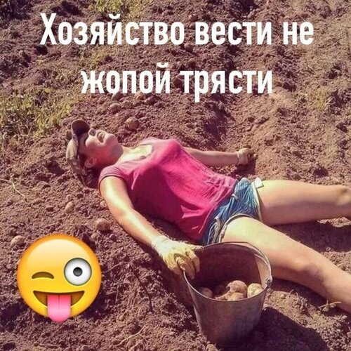 Смешной мем про дачный труд с ироничной подписью «Хозяйство вести не жопой трясти». Юмор о работе на огороде и отдыхе на природе. Открытка Хозяйство вести не опой трясти Юмористический мем с ироничной надписью на русском языке: «Хозяйство вести не жопой трясти». На изображении молодая девушка в розовой футболке и шортах отдыхает на земле рядом с ведром, в котором лежат овощи (вероятно, картофель). Кадр передает атмосферу тяжелого физического труда на даче или огороде, приправленную самоиронией и юмором