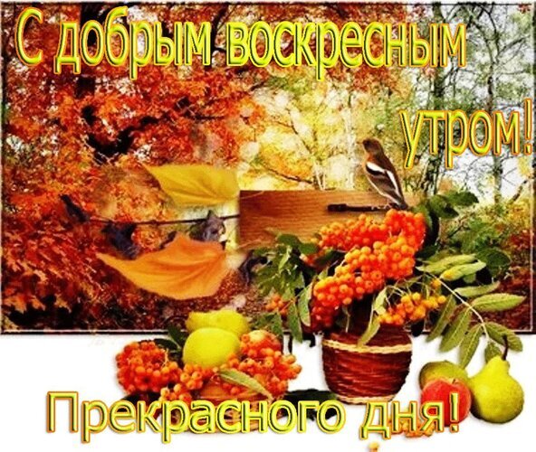 Осенняя открытка «С добрым воскресным утром!». Яркий пейзаж с рябиной, птичкой и осенними листьями для теплых пожеланий хорошего дня близким. Открытка С добрым утром Воскресенья! Красочная поздравительная открытка с осенним настроением. На изображении запечатлен яркий осенний пейзаж с золотистыми и оранжевыми листьями, ветка рябины с сочными красными ягодами и маленькая птичка, сидящая на деревянном ограждении. В нижней части композиции видна корзина с ягодами и плодами