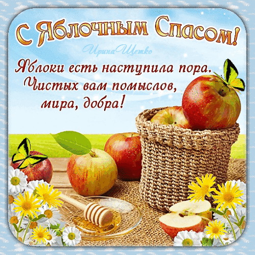 Поздравление с Яблочным Спасом: корзина спелых яблок, мед и цветы. Желаем мира, добра и чистых помыслов! Красивая открытка для близких. Анимированная открытка С яблочным Спасом! Открытка к празднику Яблочный Спас с красивым поздравлением. На изображении изображены спелые красные яблоки в корзине, мед, цветы ромашек и желтые астры. Текст поздравления: «С Яблочным Спасом! Яблоки есть наступила пора. Чистых вам помыслов, мира, добра!»