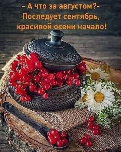 Осенний натюрморт с красными ягодами и белыми цветами под вдохновляющей цитатой о сентябре. Уютная атмосфера начала осени и сбора урожая. Открытка А что за августом? Последует сентябрь-красивой осени начало! Уютная осенняя композиция на деревянном фоне: чаша с сочными красными ягодами (вероятно, красная смородина или клюква), украшенная белыми герберами. На переднем плане лежит ложка с ягодами, а на заднем плане видна декоративная керамическая емкость с крышкой. Изображение дополнено вдохновляющей цитатой на русском языке о приходе осени: 