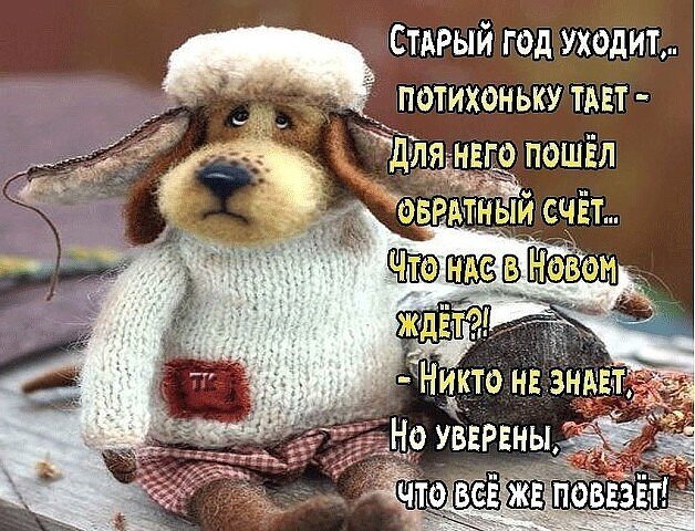 Праздничная открытка с милым псом и пожеланием удачи в Новом году. Трогательный текст о смене года и вере в лучшее. Поздравление с Новым годом. Открытка Обратный отсчет к новому году Милая открытка с изображением плюшевого пса в светлом свитере и клетчатых штанишках. На картинке размещен поздравительный текст на русском языке о смене старого года на новый. Текст гласит: Старый год уходит, тихонько тает – для него пошел обратный счет... Что нас в Новом ждет?! – Никто не знает, но уверены, что все же повезет!. Изображение передает атмосферу уюта, ожидания праздника и позитивного настроя на грядущий Новый год Праздничная открытка с милым псом и пожеланием удачи в Новом году. Трогательный текст о смене года и вере в лучшее. Поздравление с Новым годом. Открытка Обратный отсчет к новому году Милая открытка с изображением плюшевого пса в светлом свитере и клетчатых штанишках. На картинке размещен поздравительный текст на русском языке о смене старого года на новый. Текст гласит: Старый год уходит, тихонько тает – для него пошел обратный счет... Что нас в Новом ждет?! – Никто не знает, но уверены, что все же повезет!. Изображение передает атмосферу уюта, ожидания праздника и позитивного настроя на грядущий Новый год