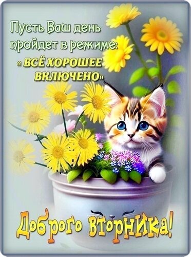 Красивая открытка с котенком и желтыми цветами. Пожелание доброго вторника и настроения «все хорошее включено». Идеально для мессенджеров и соцсетей. Открытка Доброго Вторника! Милая поздравительная открытка с изображением пушистого котенка в горшочке с яркими желтыми цветами. На картинке размещен вдохновляющий текст на русском языке: «Пусть Ваш день пройдет в режиме: 