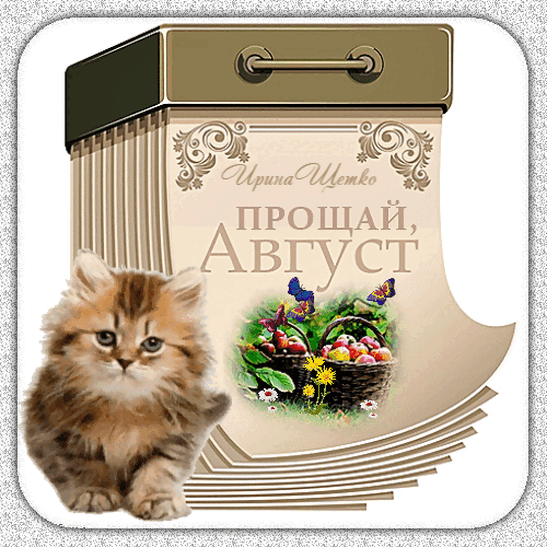 Милая открытка «Прощай, Август» с пушистым котенком, корзинами фруктов и бабочками. Красивое изображение для прощания с летом и осеннего настроения. Анимированная открытка Прощай, август! Красивая поздравительная открытка с надписью «Прощай, Август». На изображении представлен милый пушистый котенок, сидящий рядом с декоративным блокнотом или календарем. В блокноте изображены корзины с сочными фруктами, цветы и яркие бабочки. Теплые осенние тона и уютная композиция идеально подходят для прощания с летом и пожеланий хорошего настроения в конце августа Милая открытка «Прощай, Август» с пушистым котенком, корзинами фруктов и бабочками. Красивое изображение для прощания с летом и осеннего настроения. Анимированная открытка Прощай, август! Красивая поздравительная открытка с надписью «Прощай, Август». На изображении представлен милый пушистый котенок, сидящий рядом с декоративным блокнотом или календарем. В блокноте изображены корзины с сочными фруктами, цветы и яркие бабочки. Теплые осенние тона и уютная композиция идеально подходят для прощания с летом и пожеланий хорошего настроения в конце августа